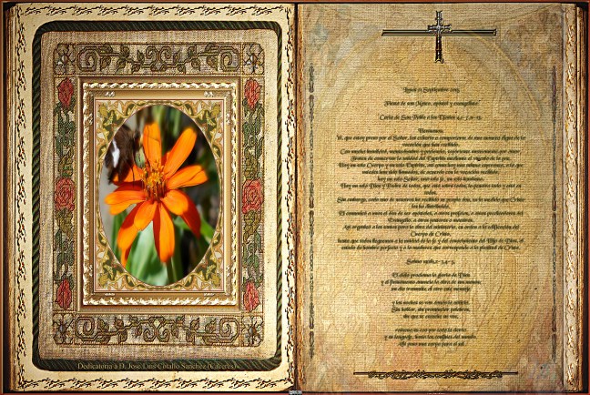 José Antonio Cotallo López