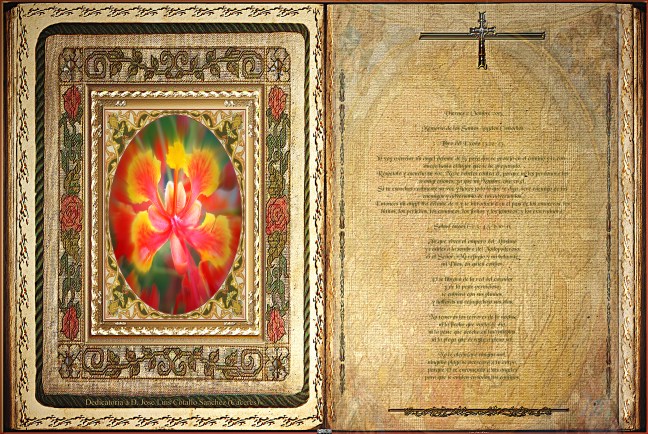 José Antonio Cotallo López