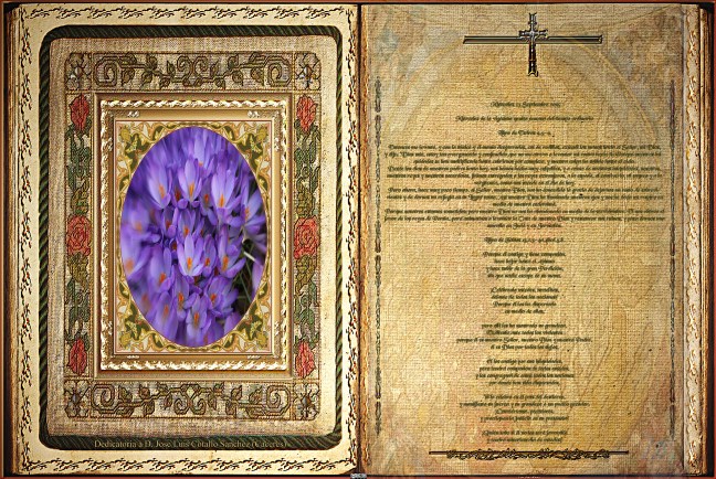 José Antonio Cotallo López