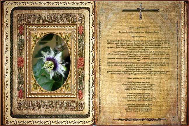 José Antonio Cotallo López