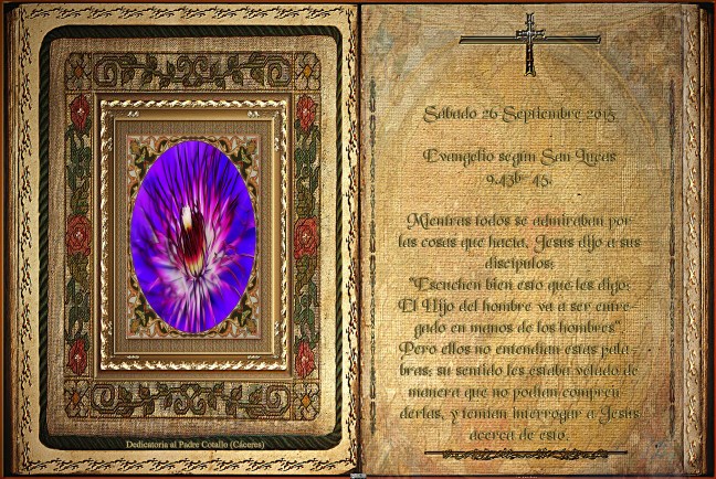 José Antonio Cotallo López