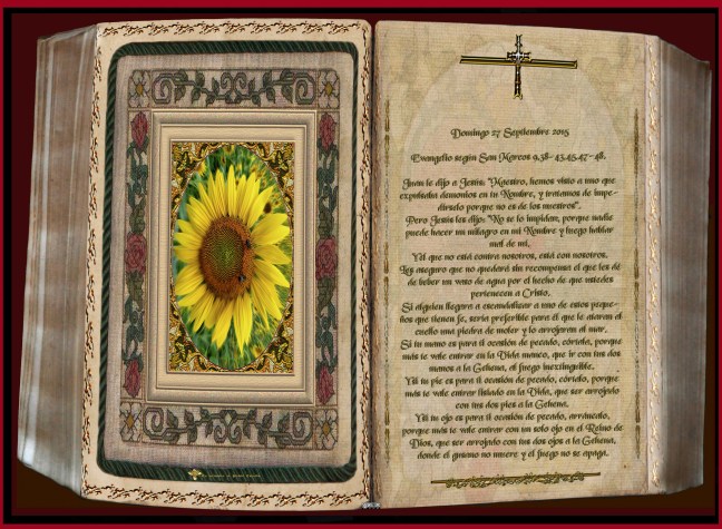 José Antonio Cotallo López