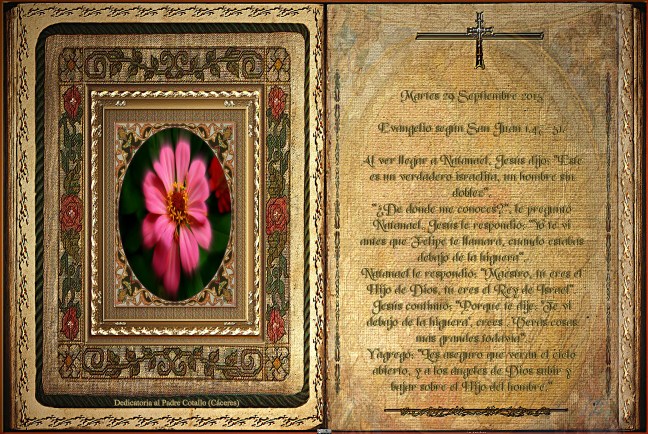 José Antonio Cotallo López