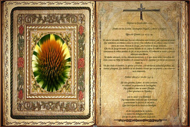 Libro de Daniel 7,9-10.13-14. 