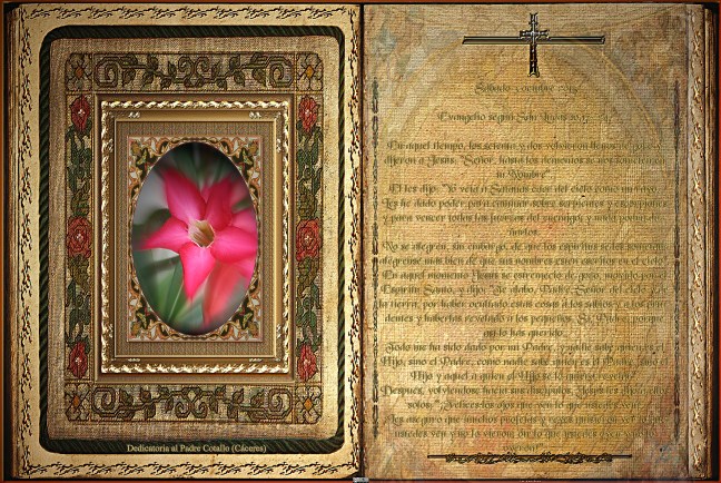 José Antonio Cotallo López