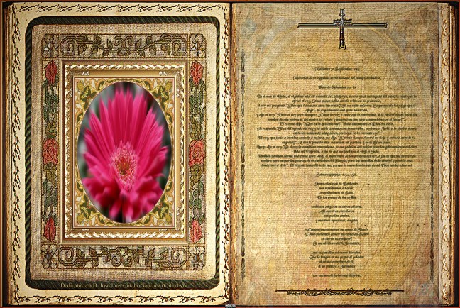 José Antonio Cotallo López