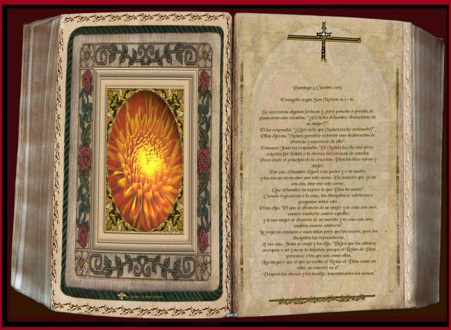 José Antonio Cotallo López