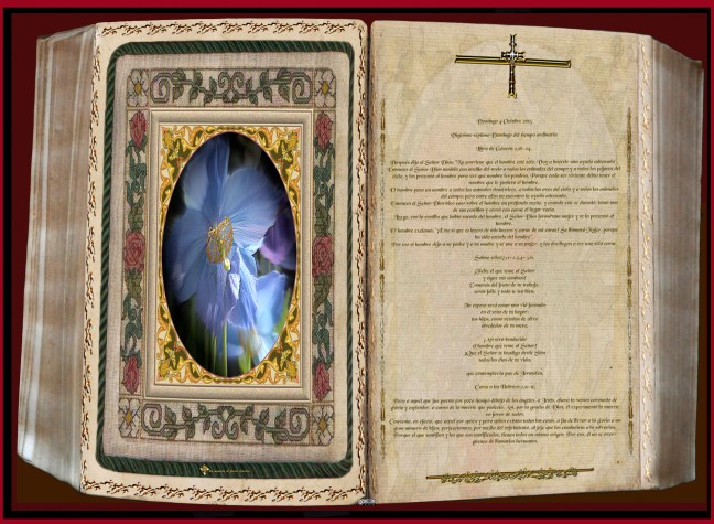 José Antonio Cotallo López