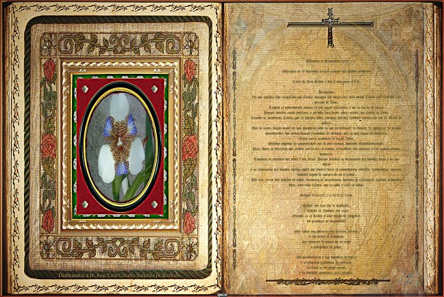 José Antonio Cotallo López