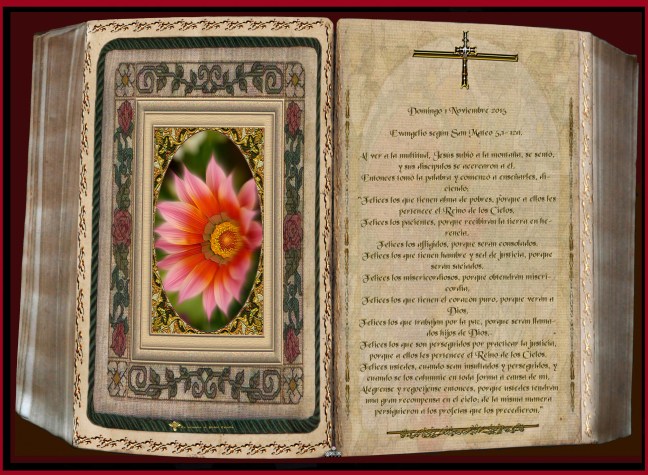 José Antonio Cotallo López