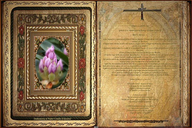 José Antonio Cotallo López