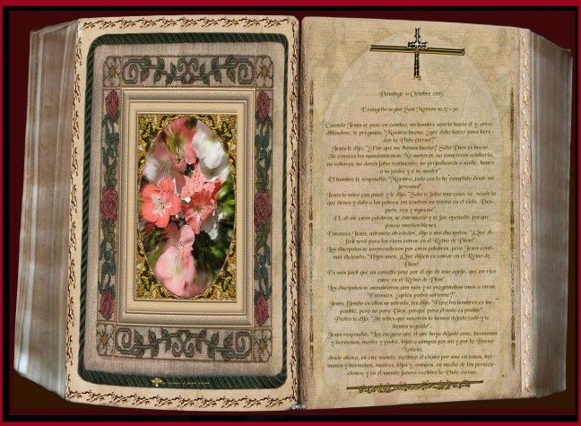 José Antonio Cotallo López