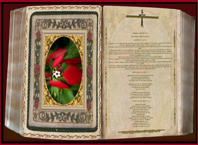 José Antonio Cotallo López