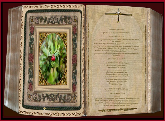 José Antonio Cotallo López