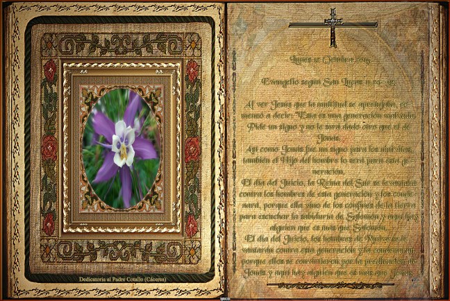 José Antonio Cotallo López