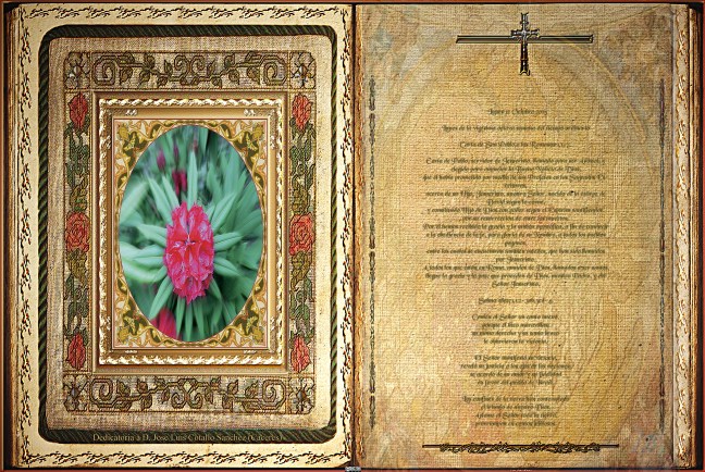 José Antonio Cotallo López