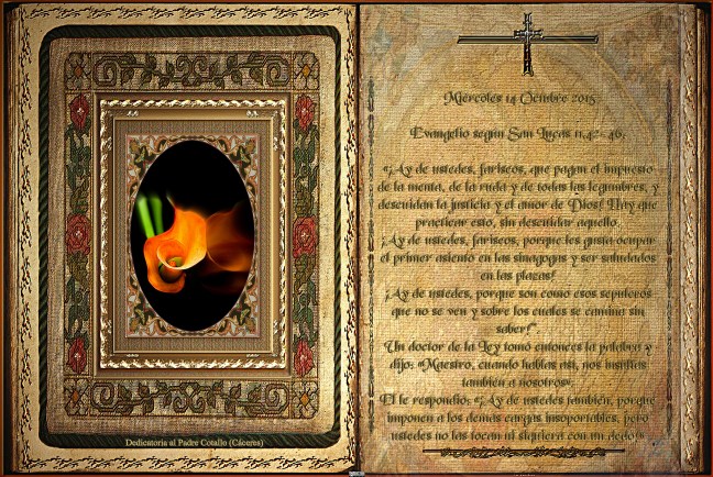 José Antonio Cotallo López