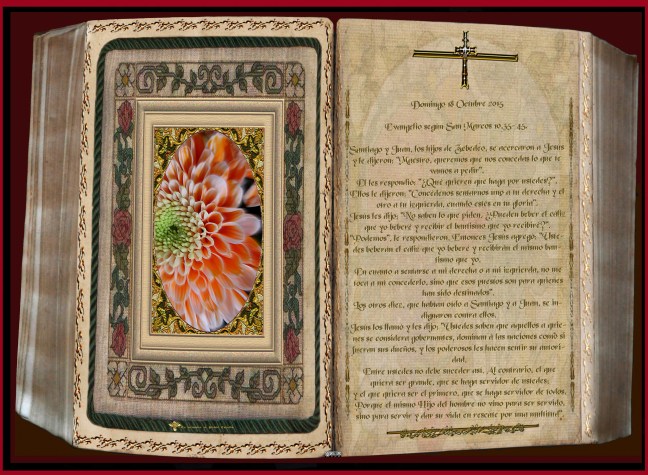 José Antonio Cotallo López