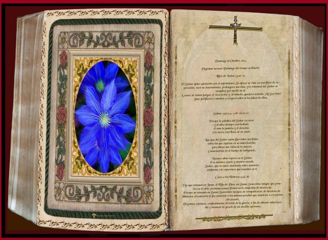 José Antonio Cotallo López