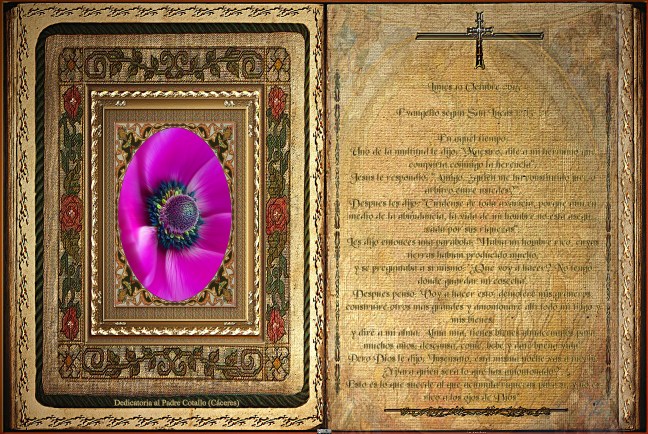 José Antonio Cotallo López