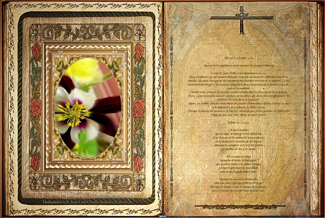 José Antonio Cotallo López