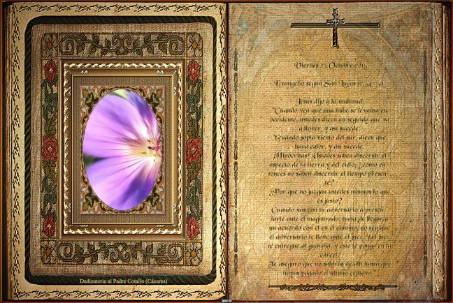 .Obra Fotográfica de cotallononocot