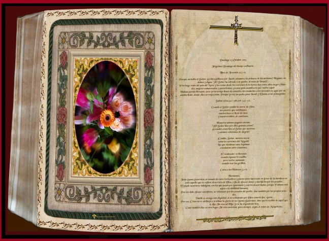 Obra Fotográfica de cotallononocot