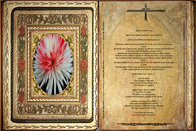 Obra Fotográfica de cotallononocot