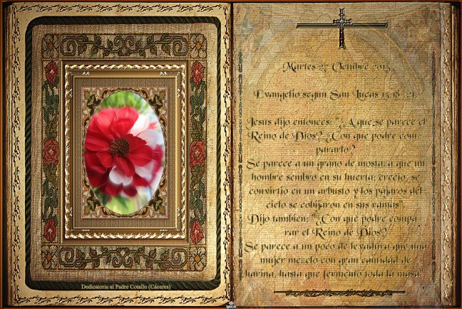 Obra Fotográfica de cotallononocot