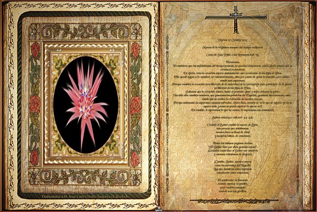 Obra Fotográfica de cotallononocot