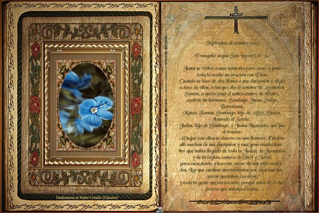 Obra Fotográfica de cotallononocot