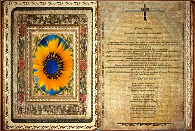 Obra Fotográfica de cotallononocot