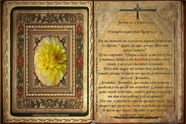 Obra Fotográfica de cotallononocot