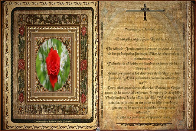 Obra Fotográfica de cotallononocot