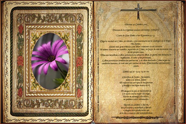 Obra Fotográfica de cotallononocot