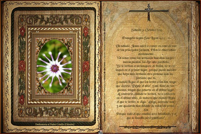 Obra Fotográfica de cotallononocot