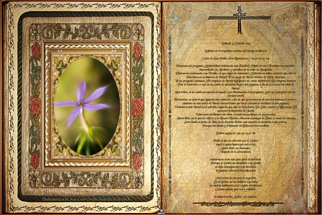 Obra Fotográfica de cotallononocot