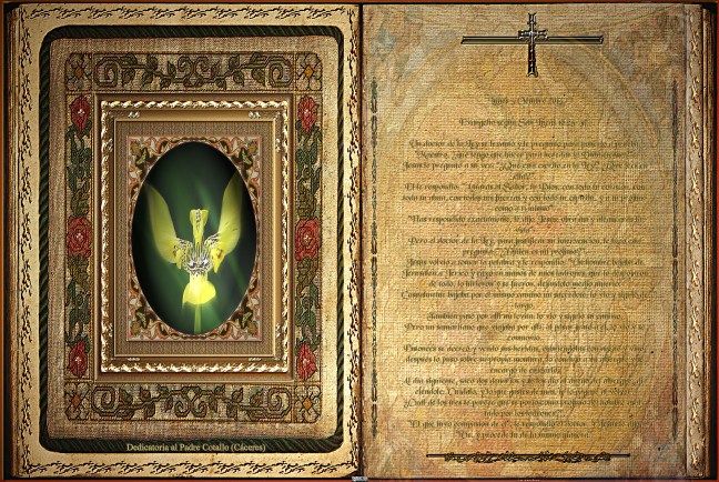 José Antonio Cotallo López