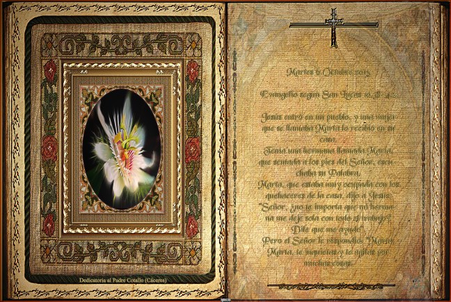 José Antonio Cotallo López