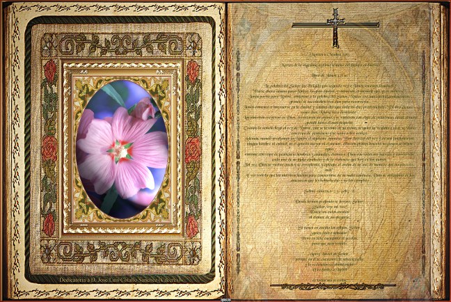 José Antonio Cotallo López