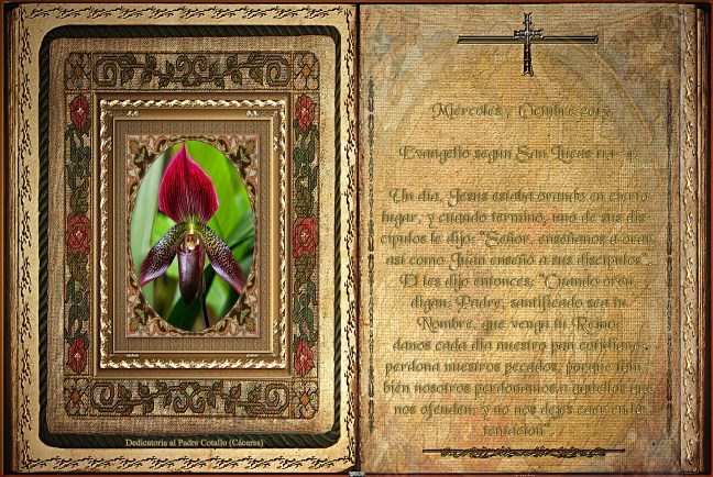 José Antonio Cotallo López