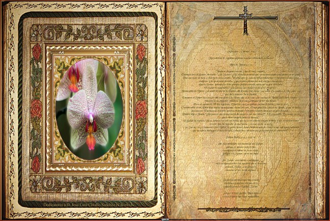 José Antonio Cotallo López