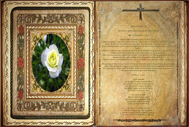 José Antonio Cotallo López