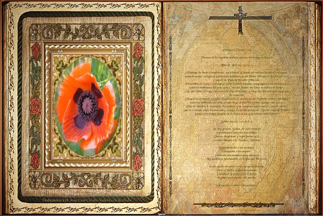 José Antonio Cotallo López