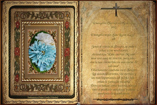 José Antonio Cotallo López