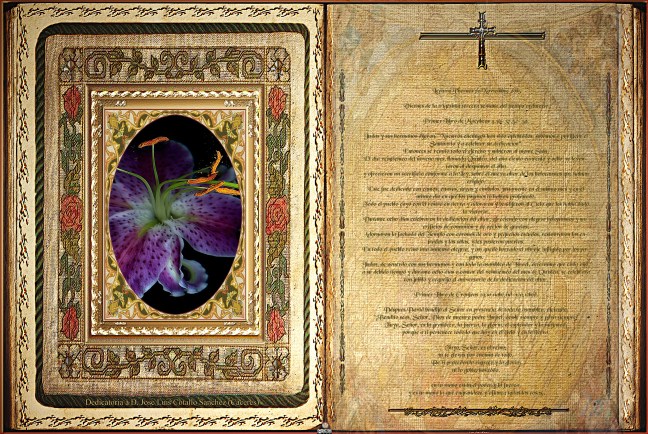 José Antonio Cotallo López