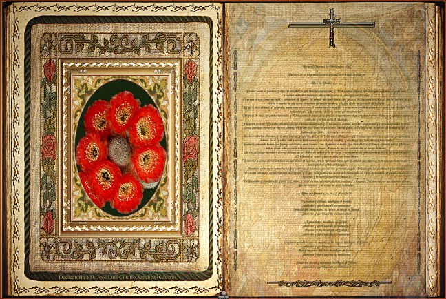 José Antonio Cotallo López