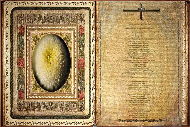 José Antonio Cotallo López