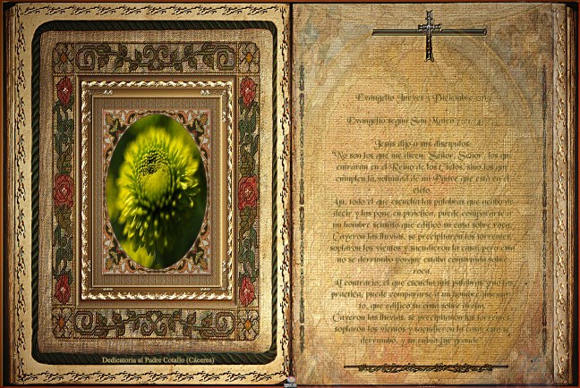 José Antonio Cotallo López