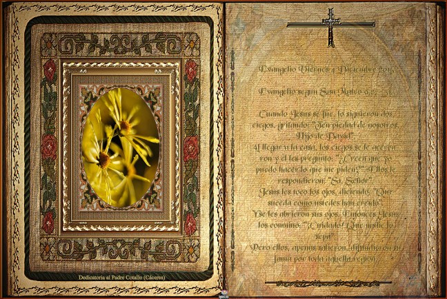 José Antonio Cotallo López